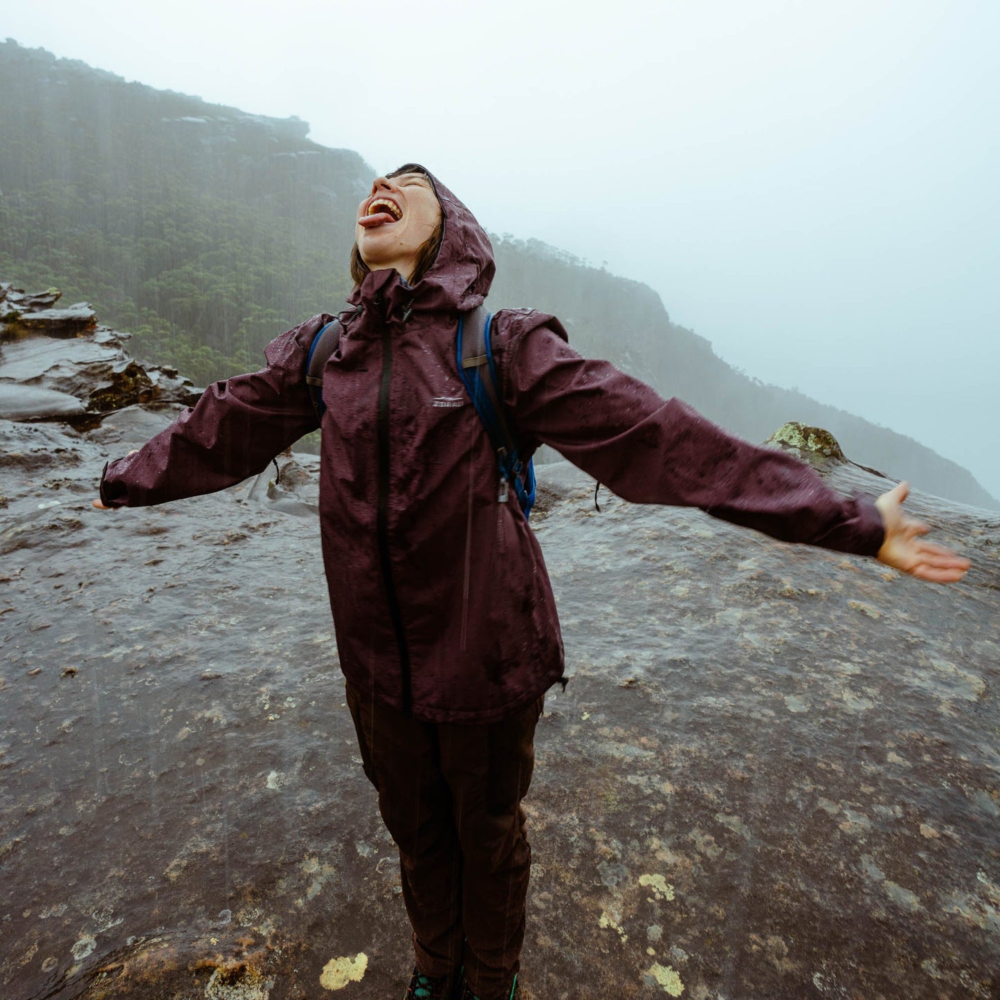 Horizon 3L Rain Jacket Berry