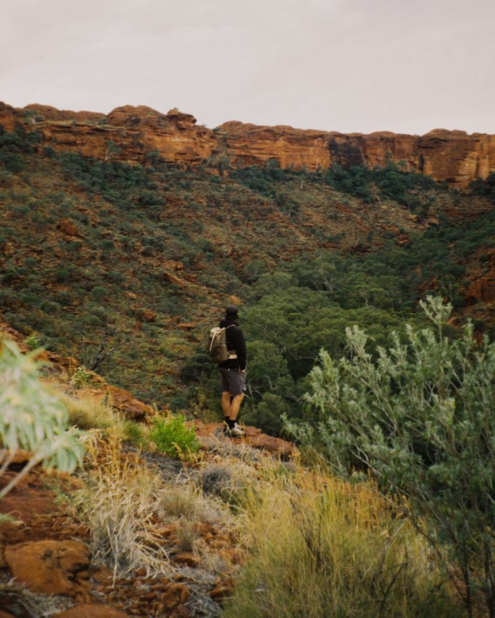 A hiker in the green gorge below the rim of Kings Canyon