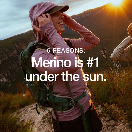 Merino 5 reasons why