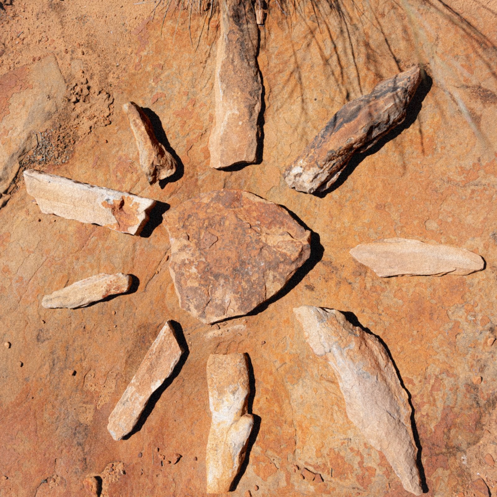 Daylight™ Drop 1: Shot in the Red Centre
