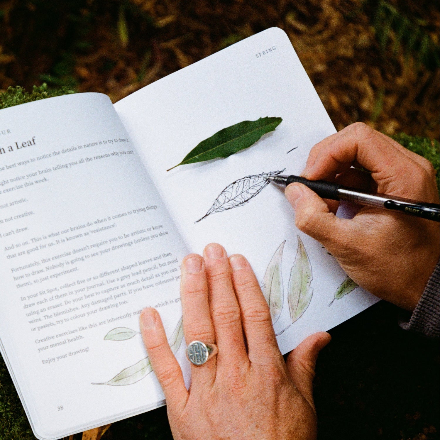 Person sketching a leaf in a notebook outdoors