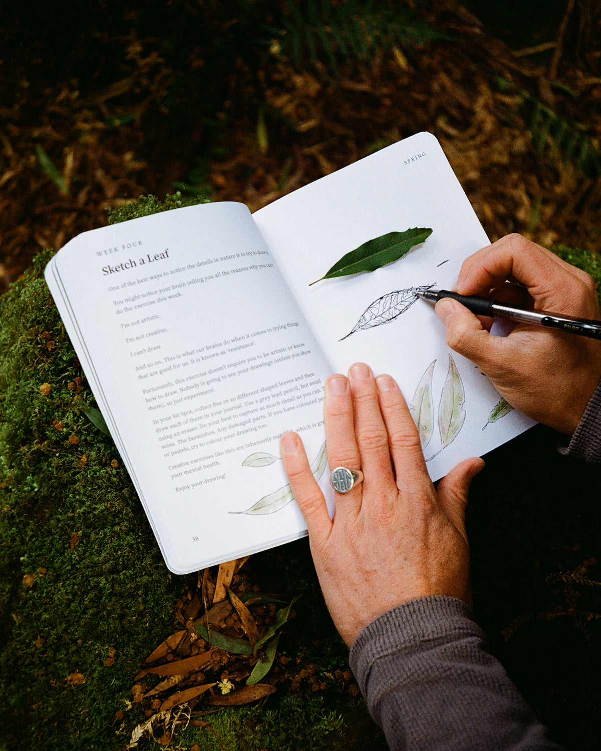 Forest Therapy Journal