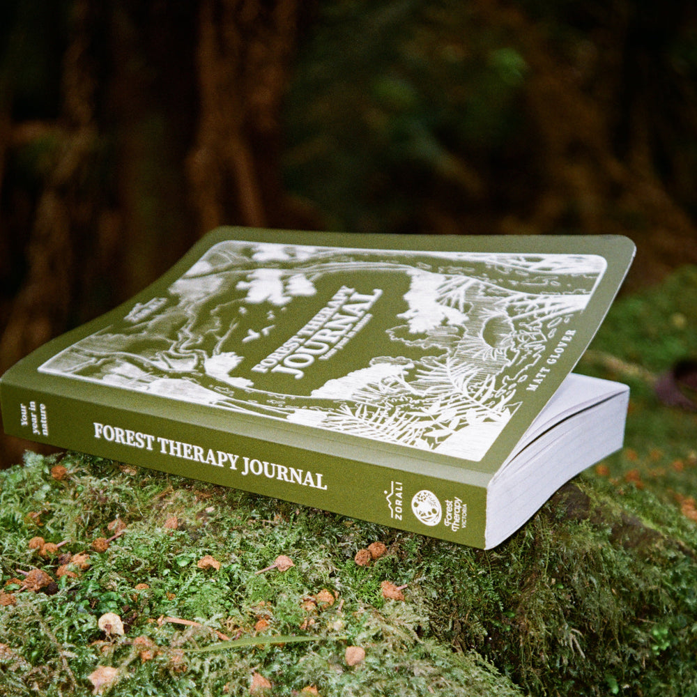 Daygin's Merino Picks