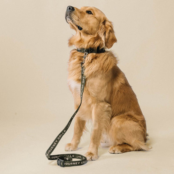 Downward Dog Leash