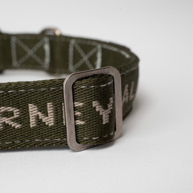 Downward Dog Collar